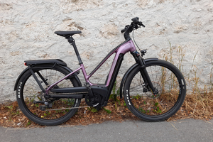 Pedelec-Vergleichstest Cannondale Tesoro und Totem Mythos - Zwei für alle Fälle