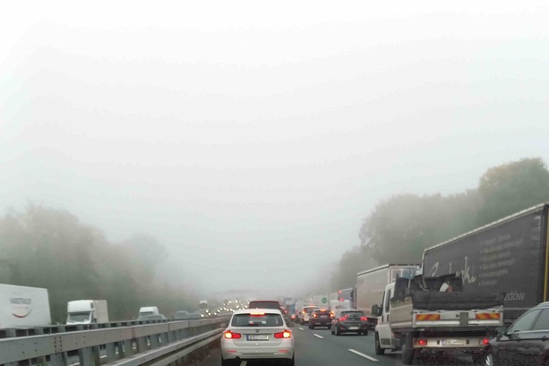 Bildergalerie: Ratgeber: Nebel im Frühherbst - Auf die Beleuchtung achten