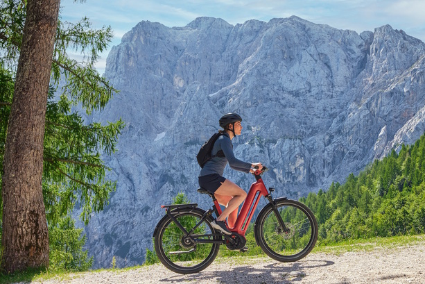 Bildergalerie: Touren-Pedelec Gazelle Eclipse - Aparter Allrounder