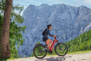 Touren-Pedelec Gazelle Eclipse - Aparter Allrounder