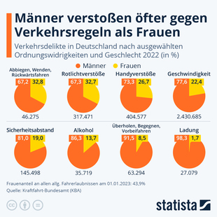 Bild vergr&ouml;&szlig;ern: Grafik: Verkehrsverstöße auf deutschen Straßen - Männer weit vorn