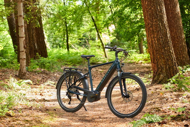 Bild vergr&ouml;&szlig;ern: Gazelle Medeo T10 HMB - Alltagstourer