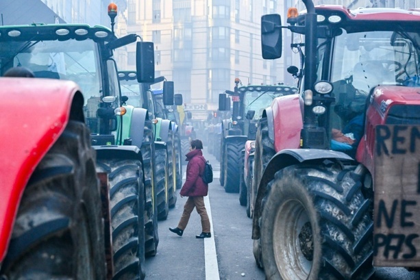 Bild vergrößern: EU-Agrarminister beraten über Erleichterungen für Bauern