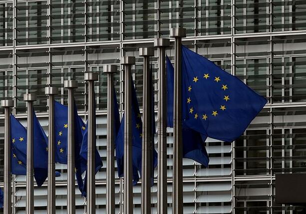 Bild vergrößern: Hofreiter plädiert für schnelle EU-Erweiterung
