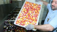 Süßwarenindustrie: Gewerkschaft NGG fordert mindestens 360 Euro mehr Lohn