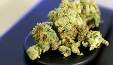 Gaststättenverband NRW: Bei Cannabis überwiegt Zurückhaltung