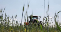 Einkommen und Betriebsgewinne von Landwirten steigen deutlich