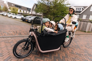 Decathlon Btwin F900E Family - Schwerlast-Stromer