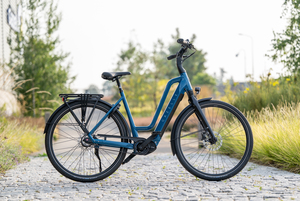 Stadt-Pedelec Gazelle Chamonix C5 - Mehr Schub