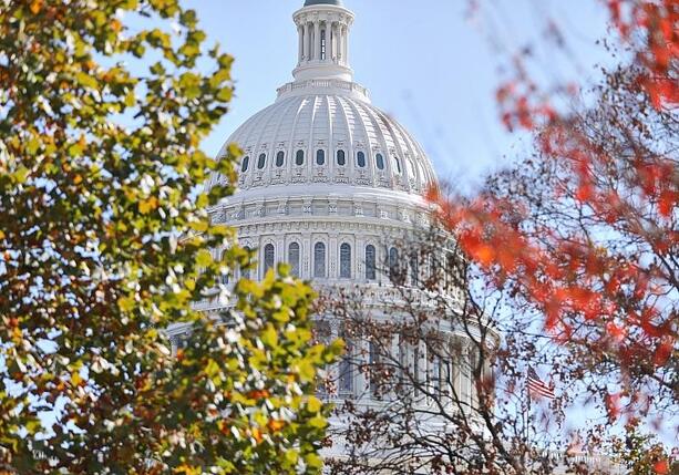 Bild vergr&ouml;&szlig;ern: Shutdown: US-Senat stimmt für Übergangshaushalt