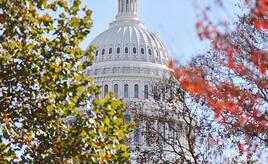 Shutdown: US-Senat stimmt für Übergangshaushalt