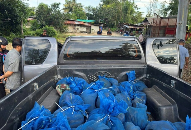 Bild vergrößern: Mutmaßliche Tierschmuggler mit 81 Makaken und Drogen in Thailand erwischt