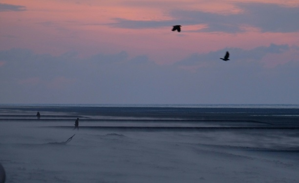 Bild vergrößern: Bestattungsschiff strandet vor Juist - Seenotretter holen Passagiere von Bord
