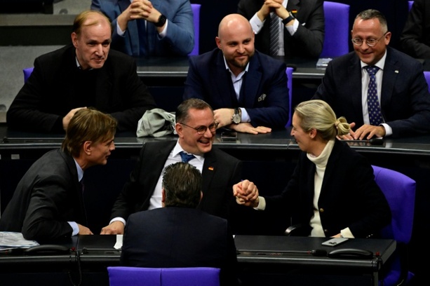 Bild vergrößern: AfD-Abgeordnete reisen zu Gesprächen mit Trump-Partei in USA