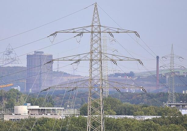 Bild vergrößern: Reiche sieht bei Industriestrompreis keine Verzögerungen