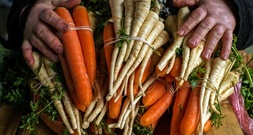 Vegetarischer Wolf aus französischem Supermarkt-Werbespot geht viral