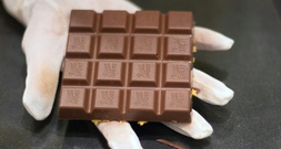 Schokoladenkrise: Ritter-Sport-Chef rechnet mit weiter steigenden Preisen