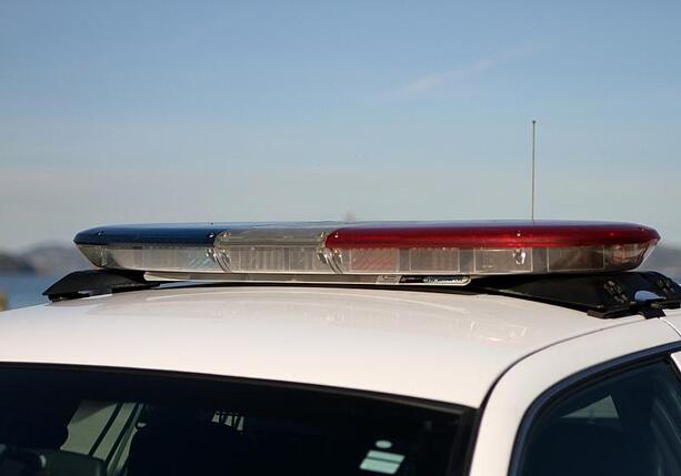 Bild vergr&ouml;&szlig;ern: Sohn von Rob Reiner wegen Mordverdachts festgenommen