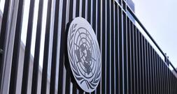 Linke drängt auf UN-Blauhelm-Einsatz in Ukraine