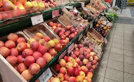 Obstbaubetriebe verzeichnen ertragreiches Jahr im Apfelanbau