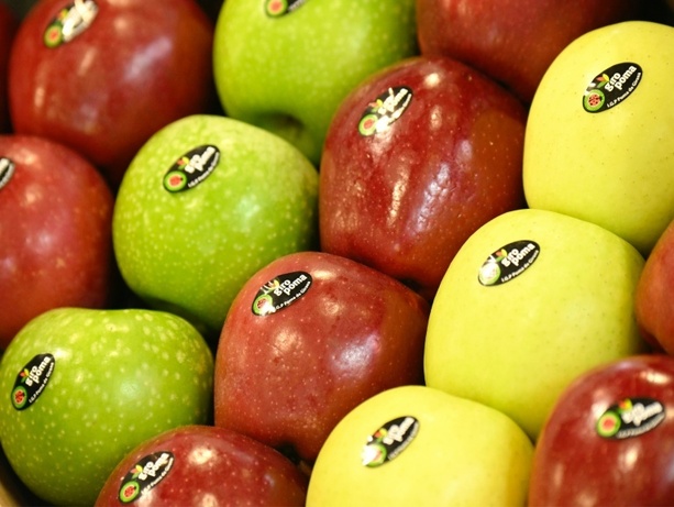 Bild vergr&ouml;&szlig;ern: Sehr gute Apfel- und Pflaumenernte: Menge deutlich über dem Durchschnitt