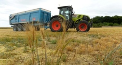 Gentechnik: Knappe Mehrheit der EU-Länder segnet Lockerungen ab