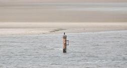 Gasförderung: Grüne wollen Borkum-Abkommen verhindern