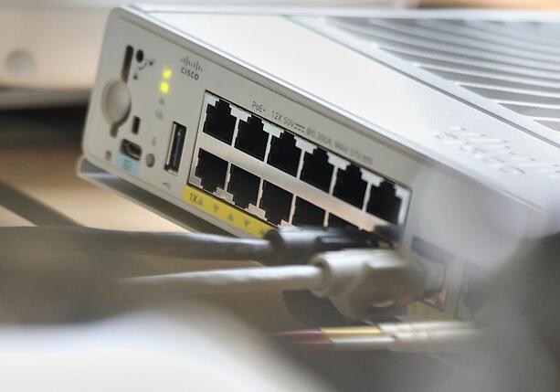 Bild vergr&ouml;&szlig;ern: Grüne lehnen IP-Speicherpläne der Koalition ab