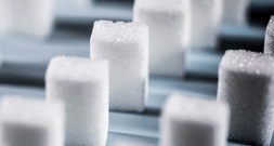 Agrarminister Rainer lehnt Zuckersteuer ab