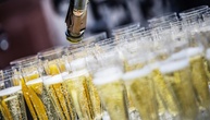 Sekt & Co.: Konsum von Schaumwein binnen zehn Jahren um ein Fünftel gesunken