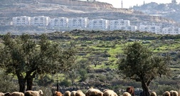 Israel kündigt Errichtung von Außenposten im Gazastreifen an