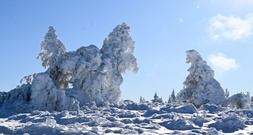 Landwirte können mit Kälteeinbruch und Schneesturm gut leben