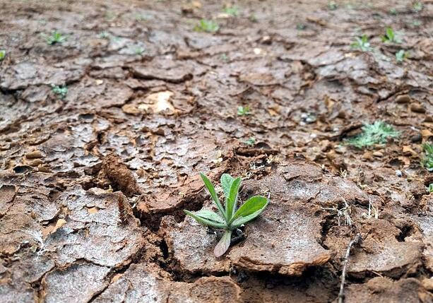 Bild vergr&ouml;&szlig;ern: Studie: Wasserknappheit gefährdet deutsche Wettbewerbsfähigkeit