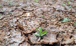 Studie: Wasserknappheit gefährdet deutsche Wettbewerbsfähigkeit