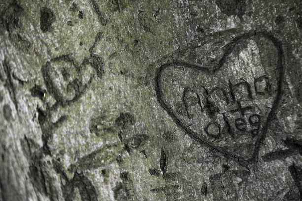 Bild vergr&ouml;&szlig;ern: Studie: Jugendliche warten länger mit erstem Sex