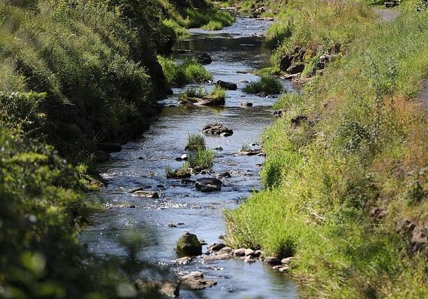 Bild vergr&ouml;&szlig;ern: Umweltministerium startet Renaturierungsprogramm für Flussauen