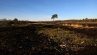 Beschwerde gegen Verbot von Torfabbau in Niedersachsen scheitert in Karlsruhe