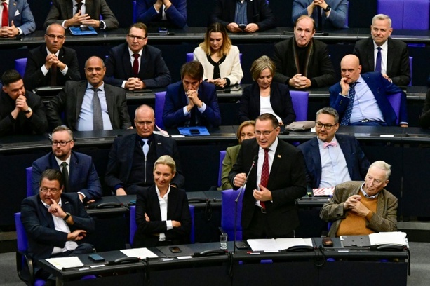 Bild vergr&ouml;&szlig;ern: Streit mit SPD um Sitzungssaal: Klage von AfD-Fraktion scheitert in Karlsruhe