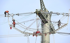 Handwerkspräsident warnt vor mehr Schwarzarbeit