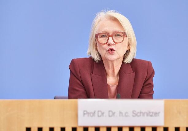 Bild vergr&ouml;&szlig;ern: Schnitzer: Schwarzarbeiter zu gemeinnütziger Arbeit verpflichten