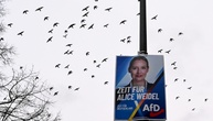 Wahlhelfer der AfD in Baden-Württemberg bedrängt und mit Reizgas attackiert