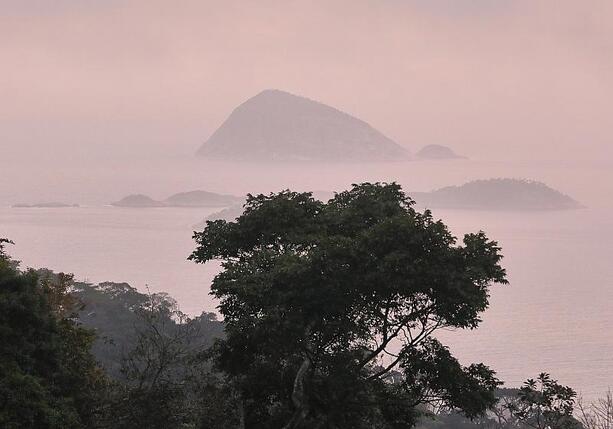 Bild vergr&ouml;&szlig;ern: IPBES: Unternehmen gefährden durch Naturzerstörung eigene Zukunft