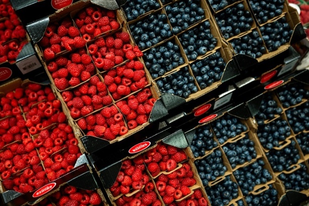 Bild vergr&ouml;&szlig;ern: Günstige Witterungsbedingungen: Rekord-Beerenernte in Deutschland