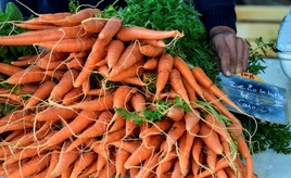 Umsatz mit Bio-Lebensmitteln auf Rekordhoch - Nachfrage höher als heimisches Angebot
