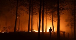Studie: Klimawandel trug zu Bedingungen für Waldbrände in Argentinien und Chile bei