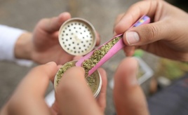 Bundesgerichtshof verhandelt über Werbung für Cannabis auf Rezept