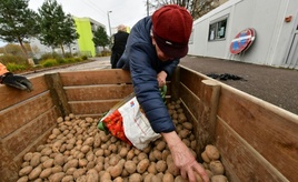 Erzeugerpreise für Landwirte 2025 minimal gestiegen