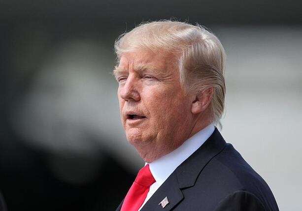 Bild vergr&ouml;&szlig;ern: Grüne fordern mehr Selbstbewusstsein gegenüber Trump