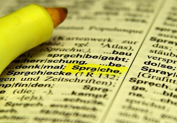 Bild vergr&ouml;&szlig;ern: Mehrheit der Bevölkerung spricht zu Hause ausschließlich Deutsch