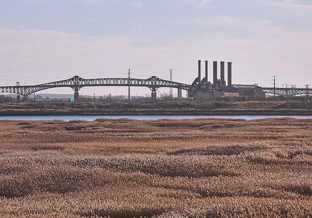 Bild vergr&ouml;&szlig;ern: Lange verlangt für Zoll-Deal Rechtssicherheit von den USA